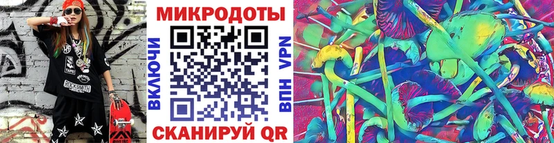 Купить где  Люберцы  Псилоцибиновые грибы GOLDEN TEACHER 
